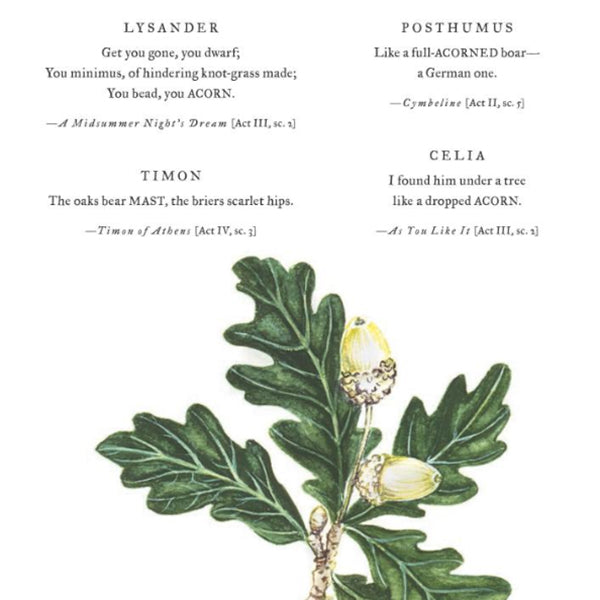 Botanical Shakespeare: An Illustrated Compendium