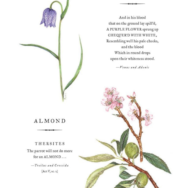 Botanical Shakespeare: An Illustrated Compendium