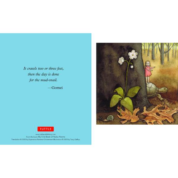 Japanese Haiku Note Cards