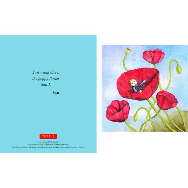Japanese Haiku Note Cards