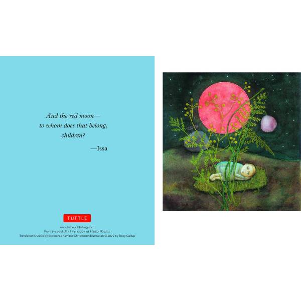 Japanese Haiku Note Cards