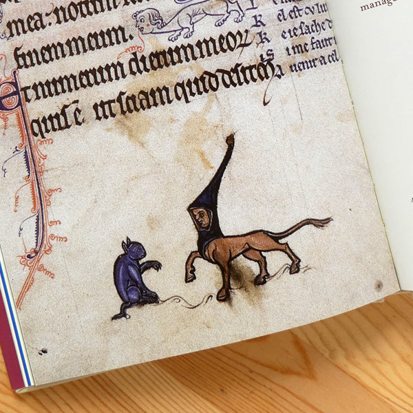Cats In Medieval Manuscripts