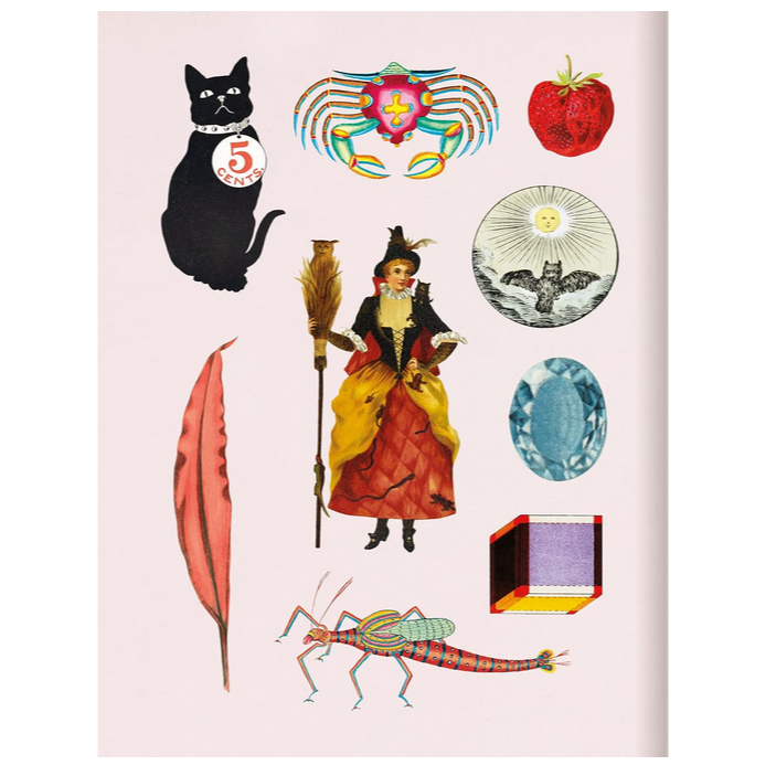 Antiquarian Sticker Book - Bibliophilia
