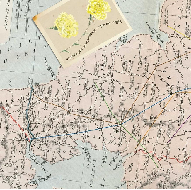 Jane Austen Escape Room Book