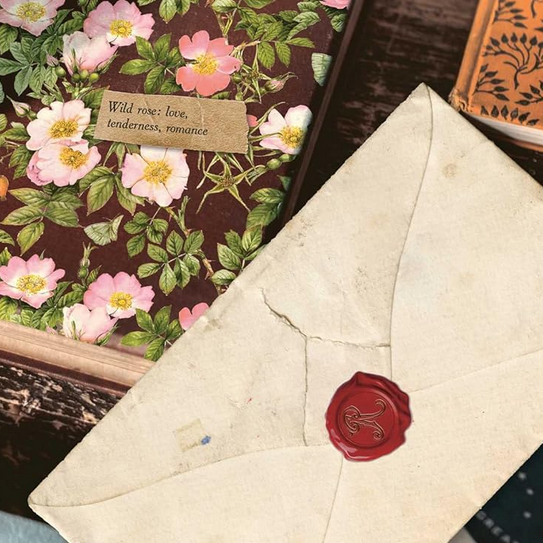 Jane Austen Escape Room Book