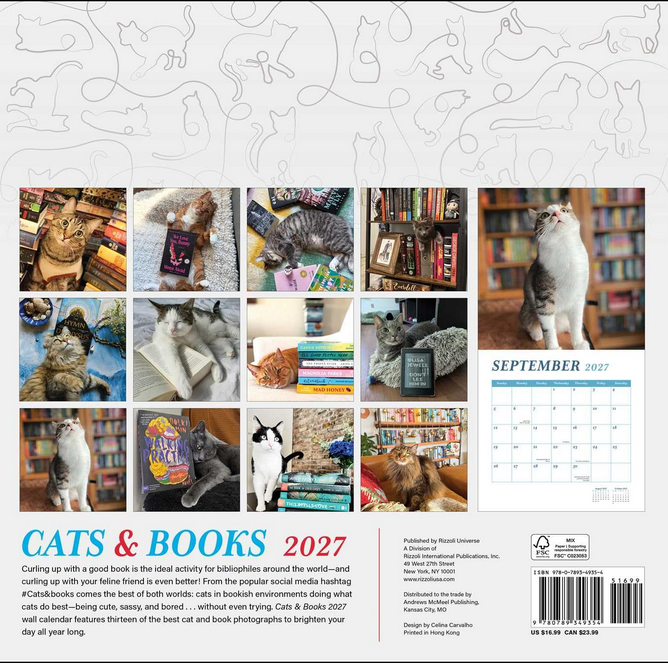 Cats and Books 2027 Wall Calendar