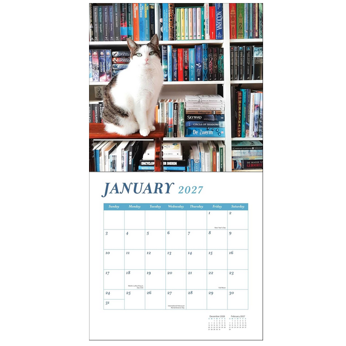 Cats and Books 2027 Wall Calendar