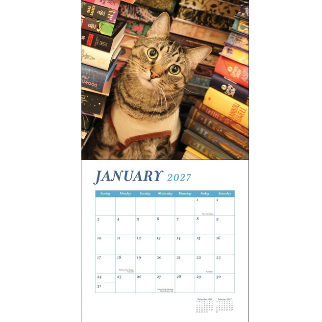 Cats and Books 2027 Wall Calendar