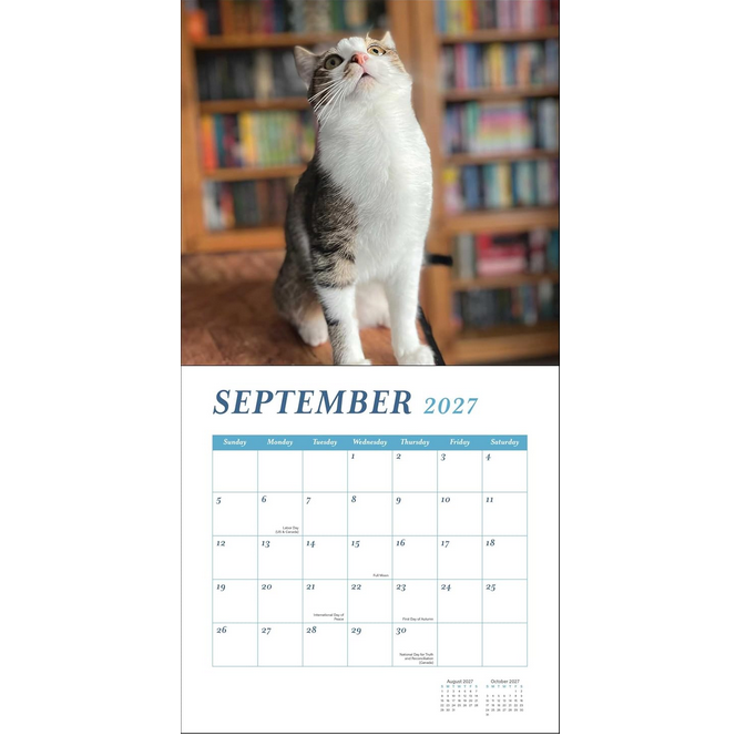 Cats and Books 2027 Wall Calendar