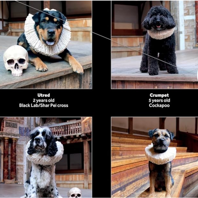 Shakespeare's Globe: Dogs in Ruffs Wall Calendar 2027