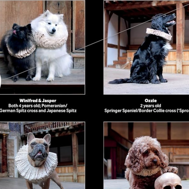 Shakespeare's Globe: Dogs in Ruffs Wall Calendar 2027