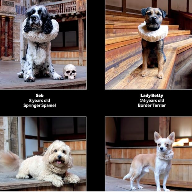 Shakespeare's Globe: Dogs in Ruffs Wall Calendar 2027