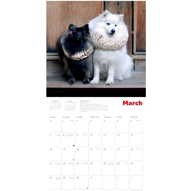 Shakespeare's Globe: Dogs in Ruffs Wall Calendar 2027