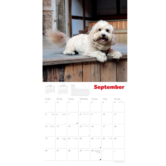 Shakespeare's Globe: Dogs in Ruffs Wall Calendar 2027