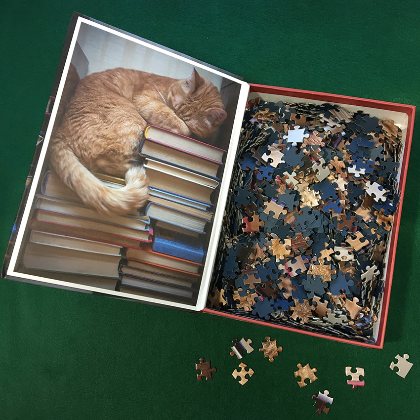Cat Nap Book Box 1000-piece Jigsaw Puzzle