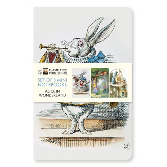 Alice in Wonderland Mini Notebook Collection