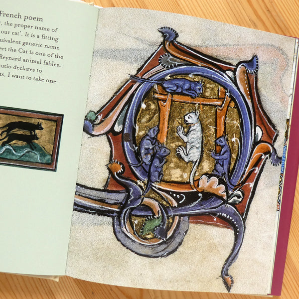 Cats In Medieval Manuscripts