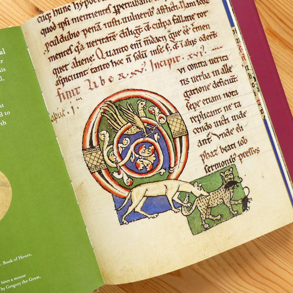 Cats In Medieval Manuscripts