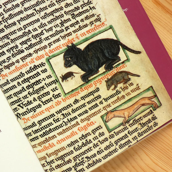 Cats In Medieval Manuscripts