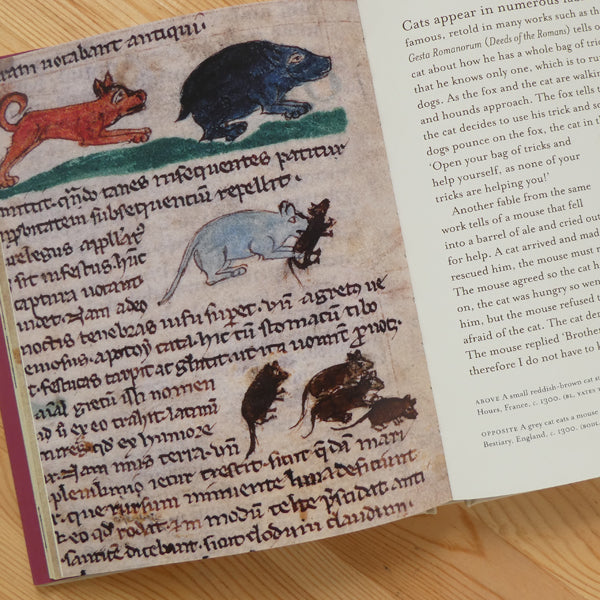 Cats In Medieval Manuscripts
