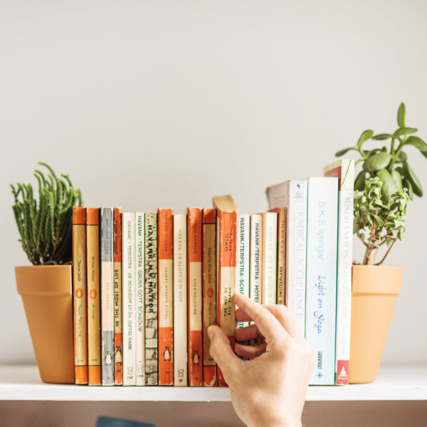 Plant Pot Bookends